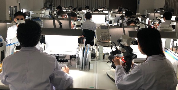 中央宝石研究所の鑑定風景